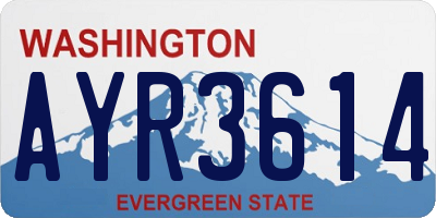 WA license plate AYR3614