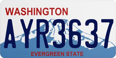 WA license plate AYR3637