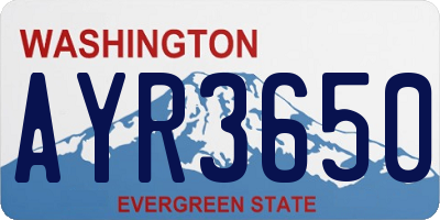 WA license plate AYR3650