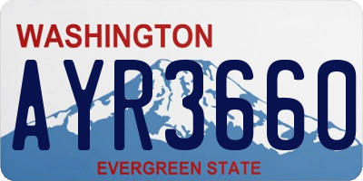 WA license plate AYR3660