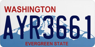 WA license plate AYR3661