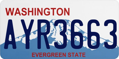 WA license plate AYR3663