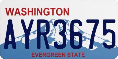 WA license plate AYR3675