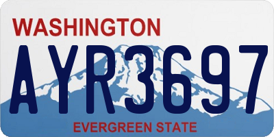 WA license plate AYR3697