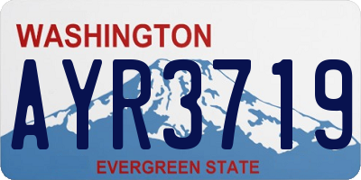 WA license plate AYR3719