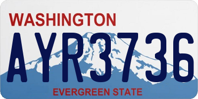 WA license plate AYR3736