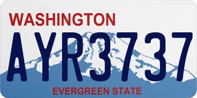 WA license plate AYR3737