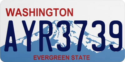 WA license plate AYR3739