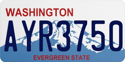 WA license plate AYR3750