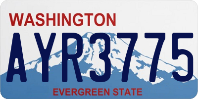 WA license plate AYR3775