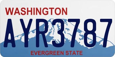 WA license plate AYR3787