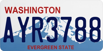 WA license plate AYR3788