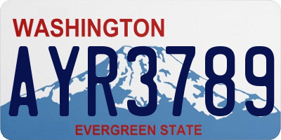 WA license plate AYR3789