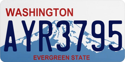 WA license plate AYR3795