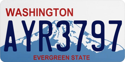 WA license plate AYR3797
