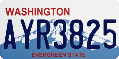 WA license plate AYR3825