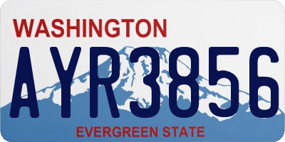 WA license plate AYR3856
