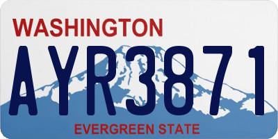 WA license plate AYR3871