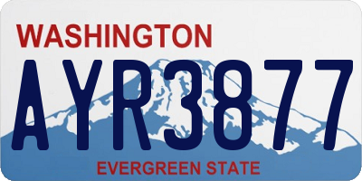 WA license plate AYR3877