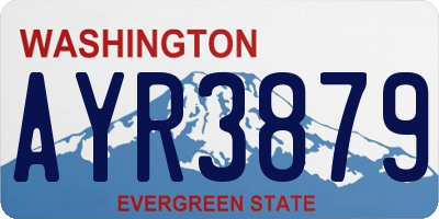 WA license plate AYR3879