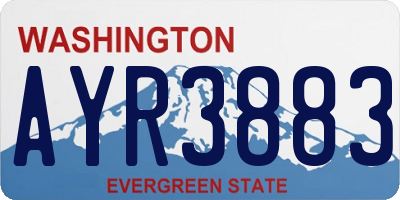 WA license plate AYR3883