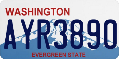 WA license plate AYR3890