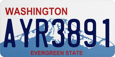 WA license plate AYR3891