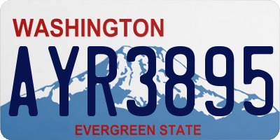 WA license plate AYR3895