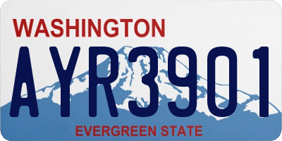 WA license plate AYR3901