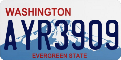WA license plate AYR3909