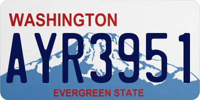 WA license plate AYR3951