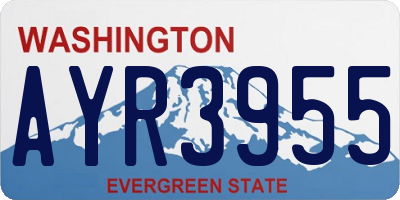 WA license plate AYR3955