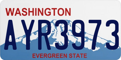 WA license plate AYR3973