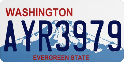 WA license plate AYR3979