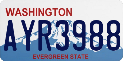 WA license plate AYR3988