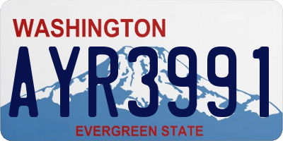 WA license plate AYR3991