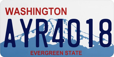 WA license plate AYR4018