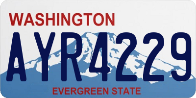 WA license plate AYR4229