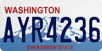 WA license plate AYR4236