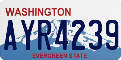 WA license plate AYR4239