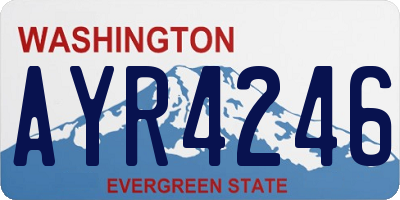 WA license plate AYR4246
