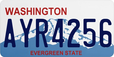 WA license plate AYR4256