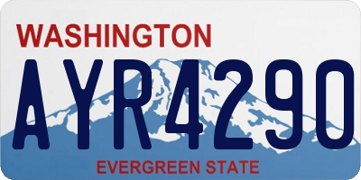 WA license plate AYR4290