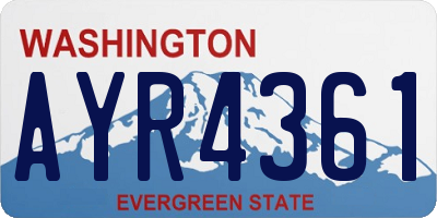 WA license plate AYR4361