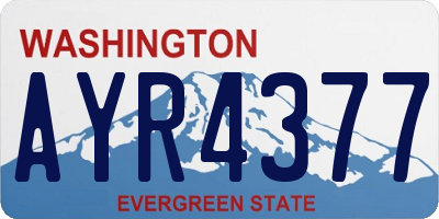 WA license plate AYR4377