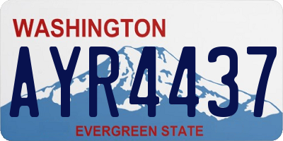 WA license plate AYR4437