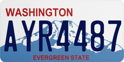 WA license plate AYR4487