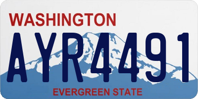 WA license plate AYR4491