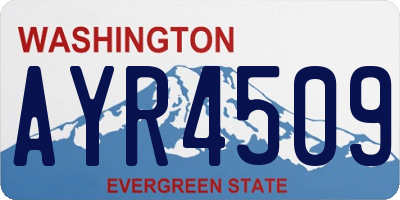 WA license plate AYR4509