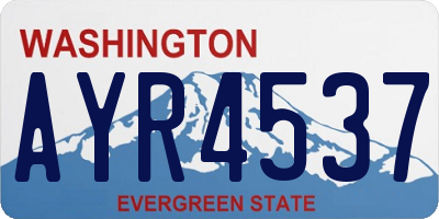 WA license plate AYR4537